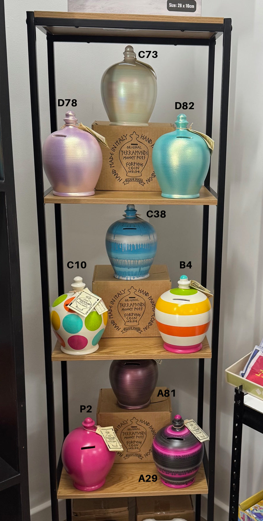 TERRAMUNDI MONEY POTS - A29 - Purple/Black